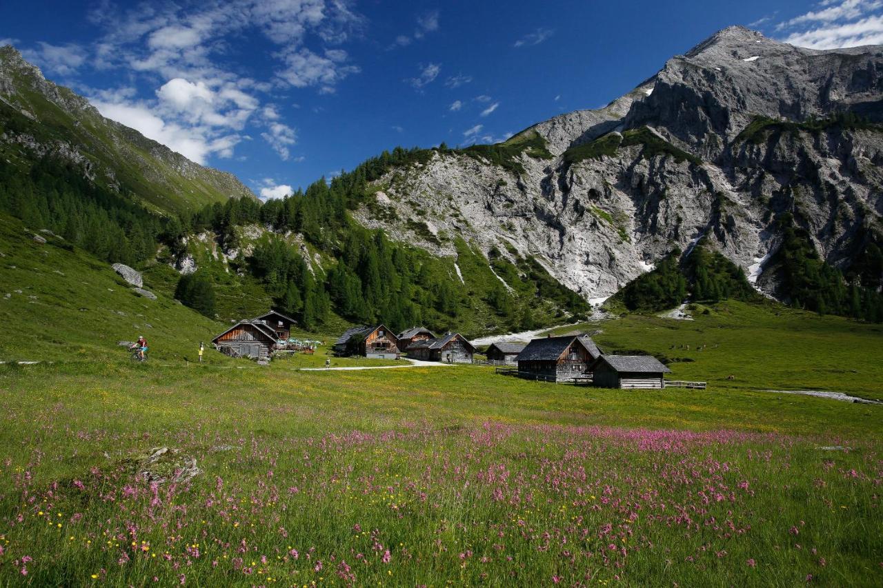 Apartments Haufhof , Haus Im Ennstal Bei Schladming Exteriér fotografie